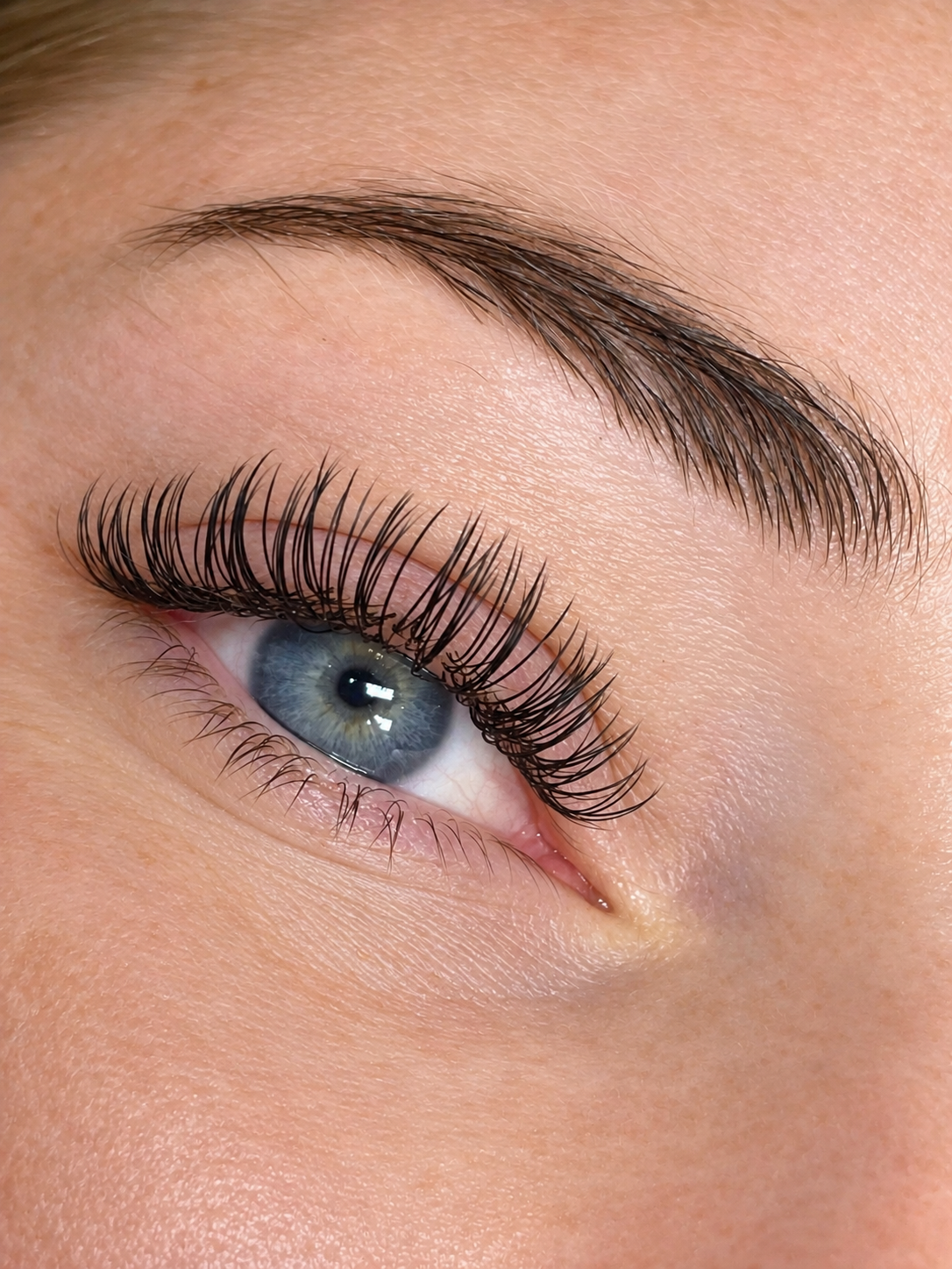 Resultat, The Lash Devotion 35