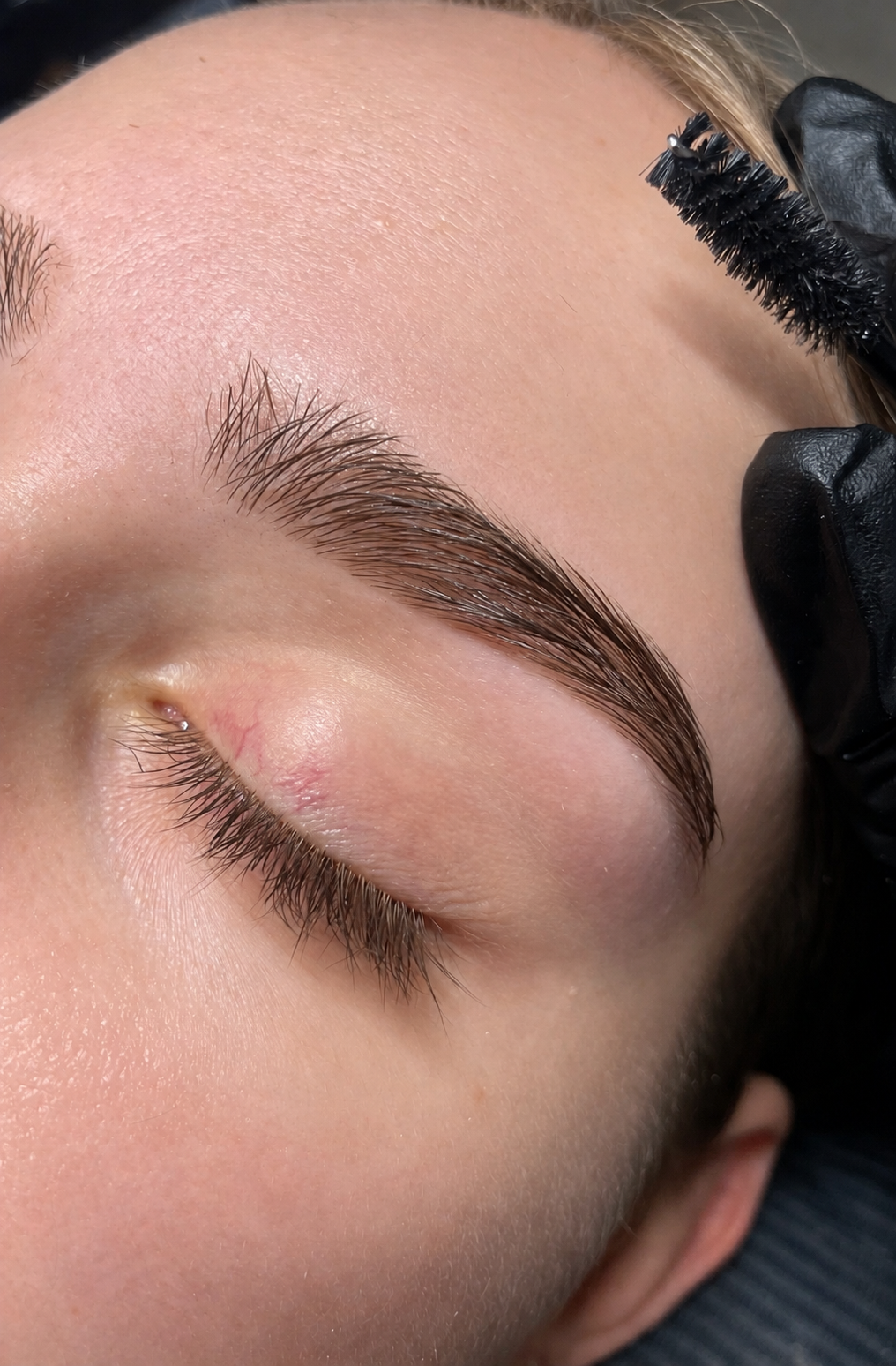 THE CLEAN, resultat hos The Lash Devotion